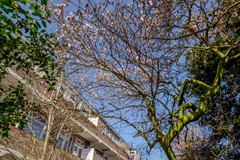 17.12.2025_Bed_2.1 (11 of 45).jpg